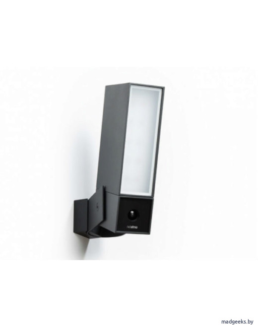 Умная камера Netatmo Presence