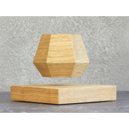 Левитирующий горшок для растений LePlant Wood