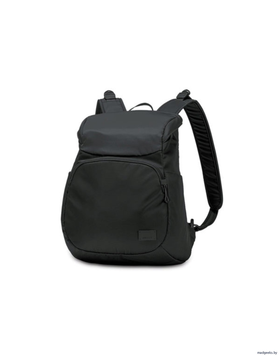 Pacsafe cs300 cheap