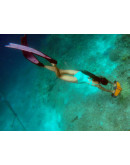 Для путешествий: Подводный скутер Geneinno S1 Scooter Подводный скутер Geneinno S1 Scooter