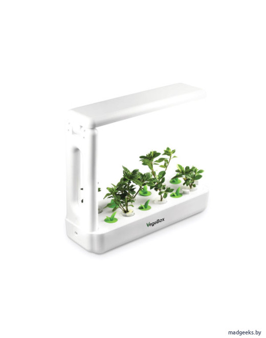 Кухонная садовая ферма Vegebox K-Box