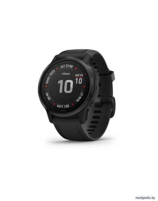 Спортивные часы Garmin Fenix 6S Pro черные с черным ремешком