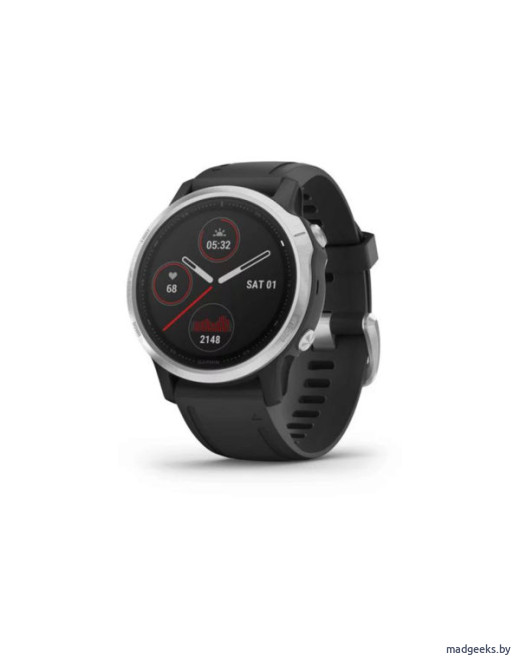 Спортивные часы Garmin Fenix 6S серебристые с черным ремешком
