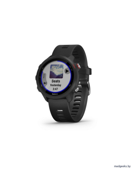 Спортивные часы Garmin Forerunner 245 Music