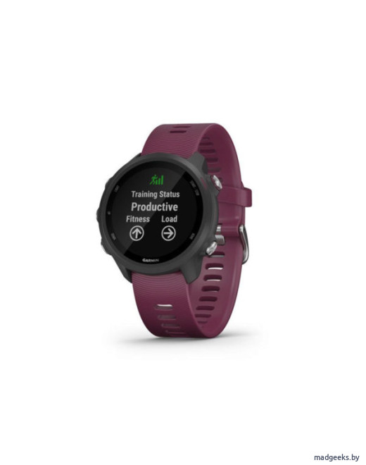 Спортивные часы Garmin Forerunner 245