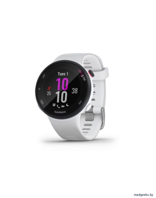 Спортивные часы Garmin Forerunner 45S