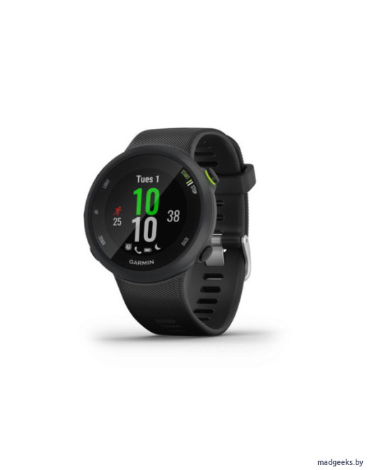 Спортивные часы Garmin Forerunner 45