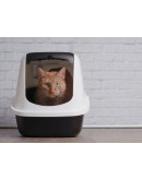 Автоматический устранитель запахов для кошачьего туалета Petoneer Odor Eliminator