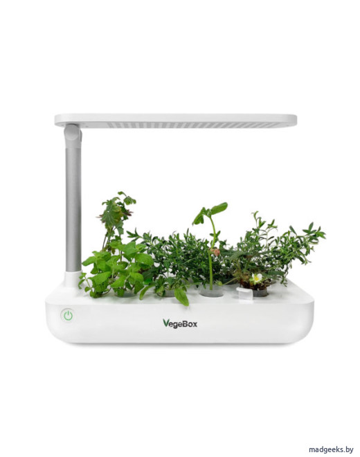 Настольная cадовая ферма Vegebox T-Box