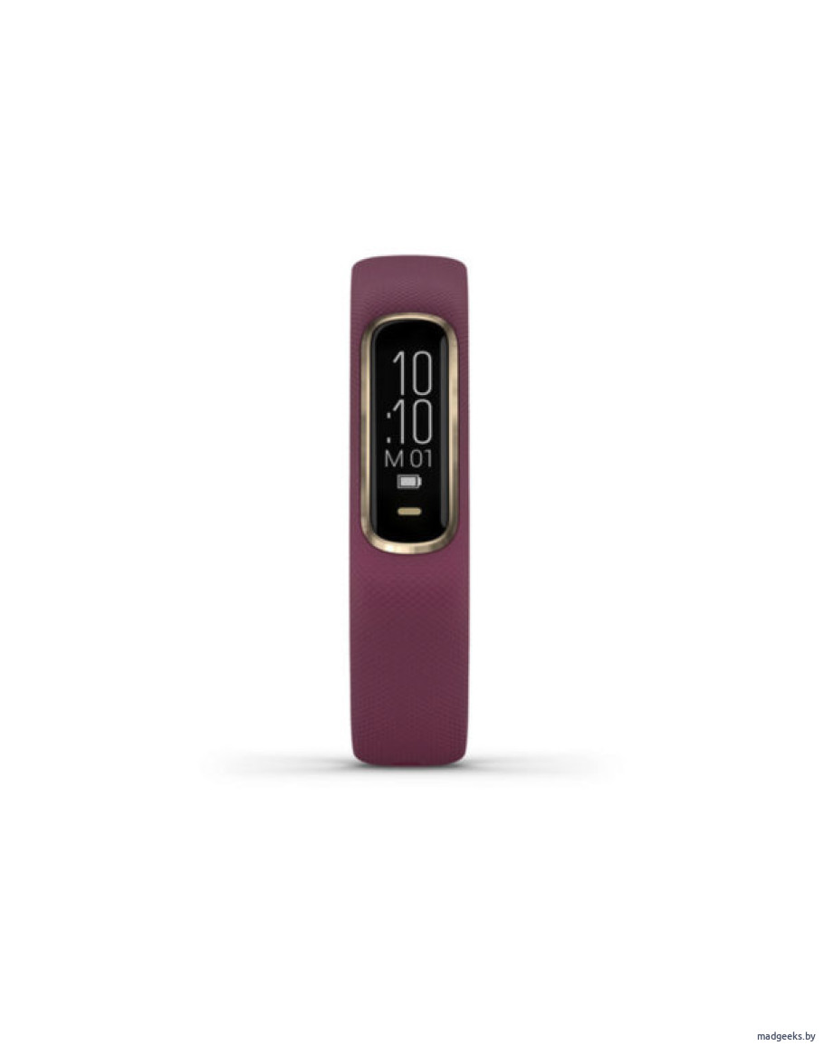 Garmin Vivosmart 4 Garmin