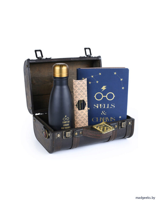 Подарочный набор Pyramid International Harry Potter (Trouble Finds Me) GP85536