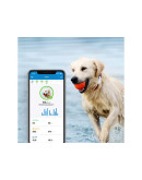 GPS-трекер для собак Tractive GPS DOG 4 LTE