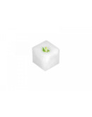 Поролон для высадки Vegebox