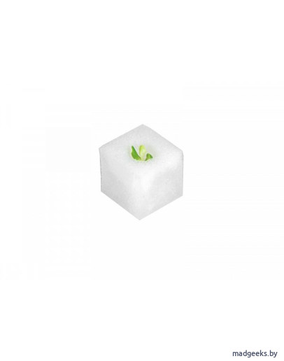 Поролон для высадки Vegebox