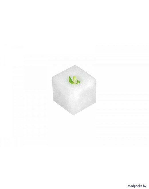 Поролон для высадки Vegebox