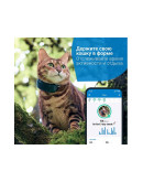 GPS трекер для кошек Tractive LTE