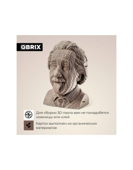 3D-конструктор из картона QBRIX Эйнштейн