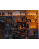 Smart-гирлянда Twinkly Cluster (Gold & Silver edition) - 400 шт. (6 м) AWW + BT + Wi-Fi